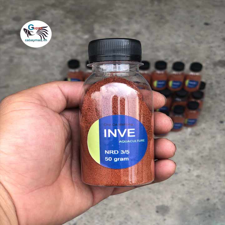 cám inve
