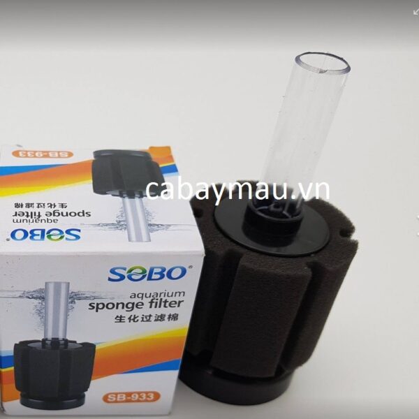 Lọc vi sinh bio