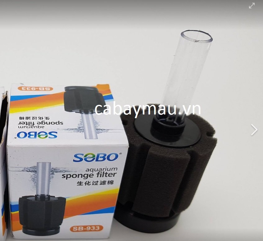 Lọc vi sinh là gì