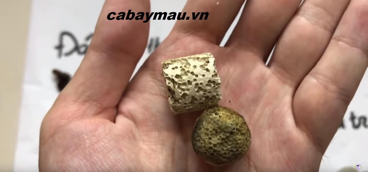 sứ lọc