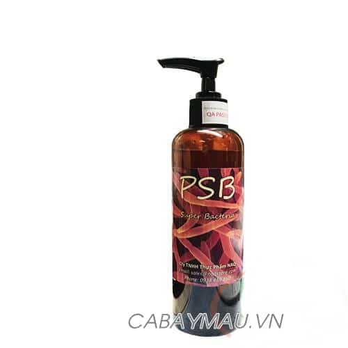 vi khuan quang hop PSB