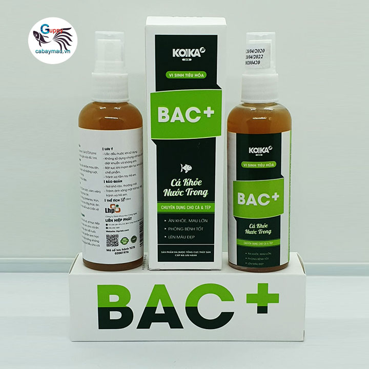 vi sinh bac+