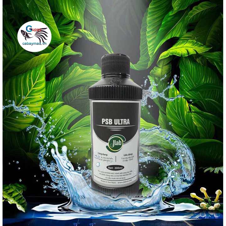 vi-sinh-cho-ca-canh-jlab vi sinh quang hợp Jlab