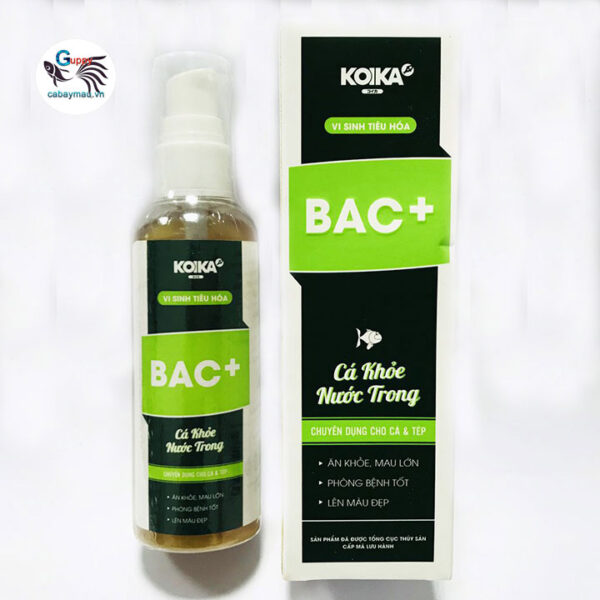 Vi sinh tiêu hóa bac+