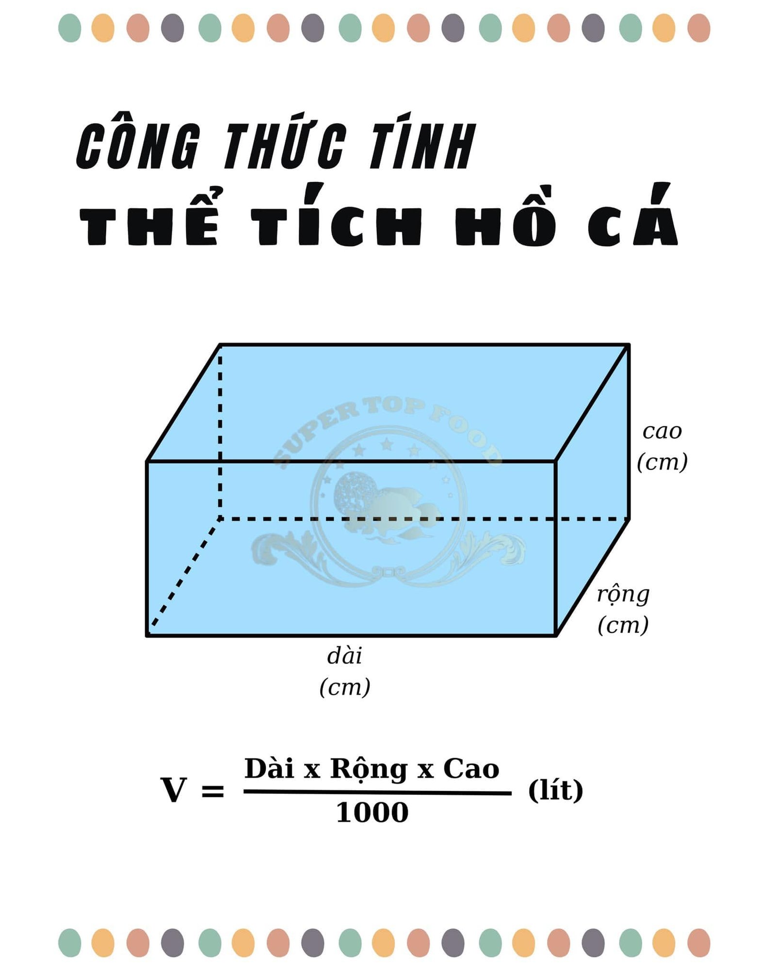 Cách tính thể tích hồ cá chuẩn xác cho người mới nuôi