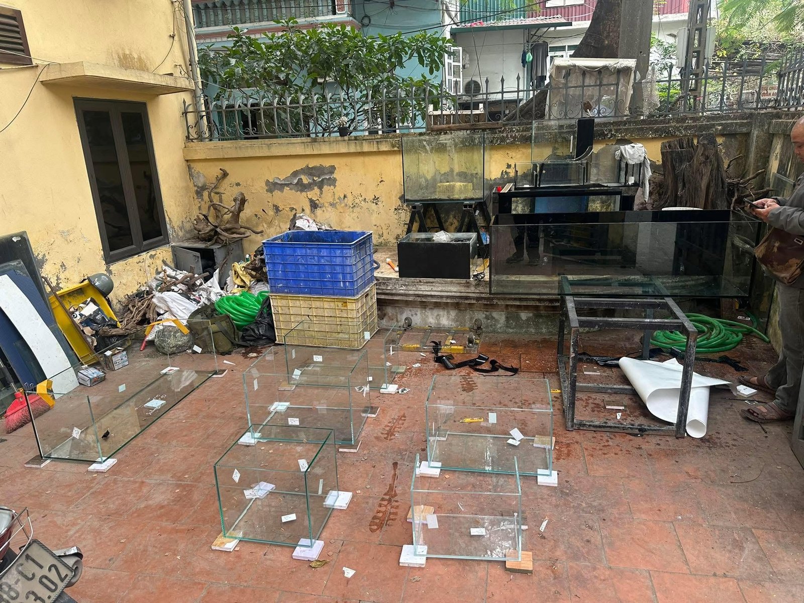 Người chơi lựa chọn cá tại cửa hàng cá cảnh chất lượng