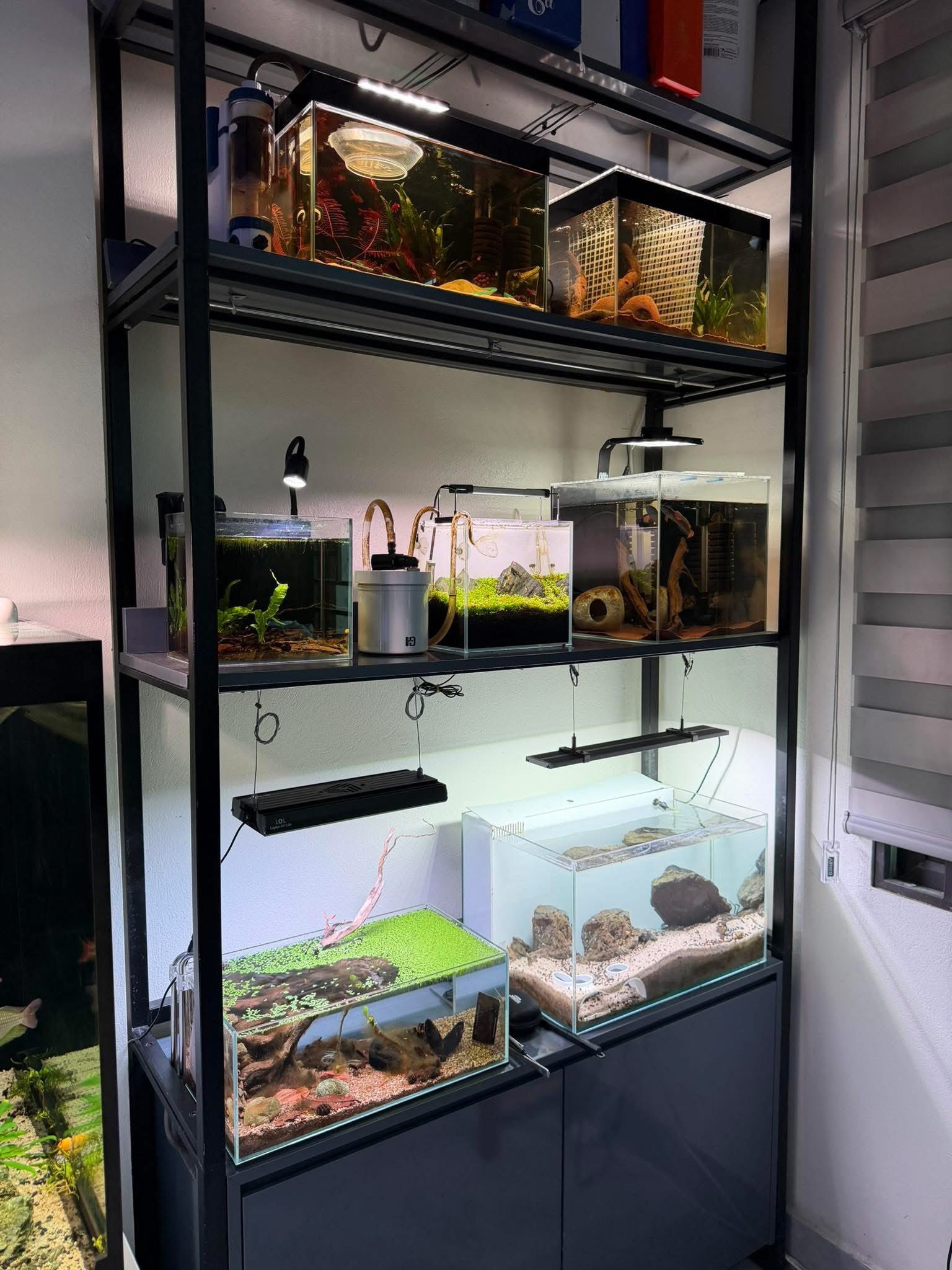 Sơ đồ lọc vách bể cá mini cho hồ thủy sinh tại nhà