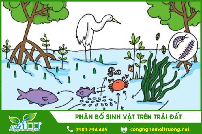 Bản đồ phân bố sinh vật trên Trái Đất theo giới hạn sinh thái tự nhiên