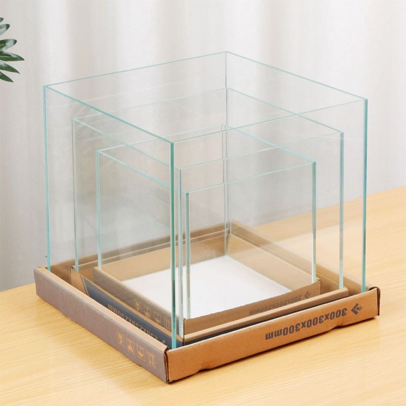 Bể cá cảnh cubic siêu trong hiện đại