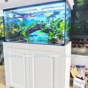 Bể cá cảnh thủy sinh kích thước 90cm với bố cục lũa cầu vồng và cây rêu