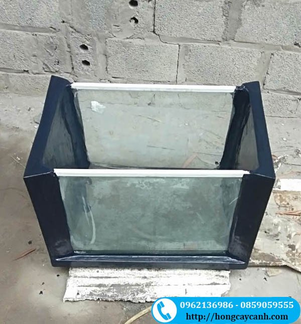 Bể cá xi măng 60x40x40 với thiết kế hai mặt kính
