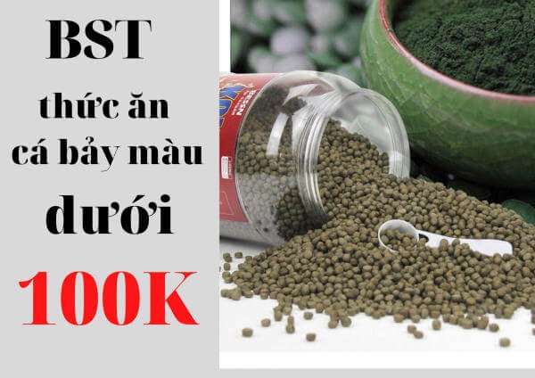 Cá bảy màu khỏe mạnh với màu sắc rực rỡ nhờ chế độ thức ăn đầy đủ dinh dưỡng