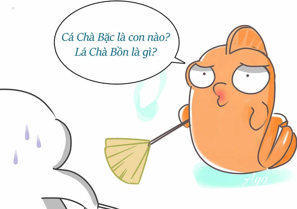 Cá Chà Bạc là loài cá cảnh có màu bạc