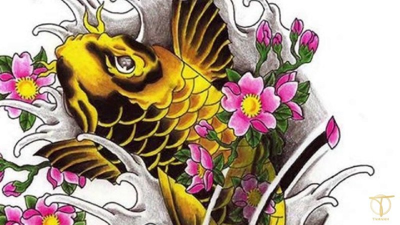 Cá Chép Cảnh Vàng
