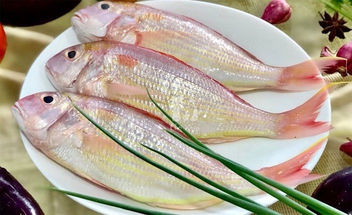 Cá hương, loài cá nước ngọt thích nghi với môi trường khắc nghiệt
