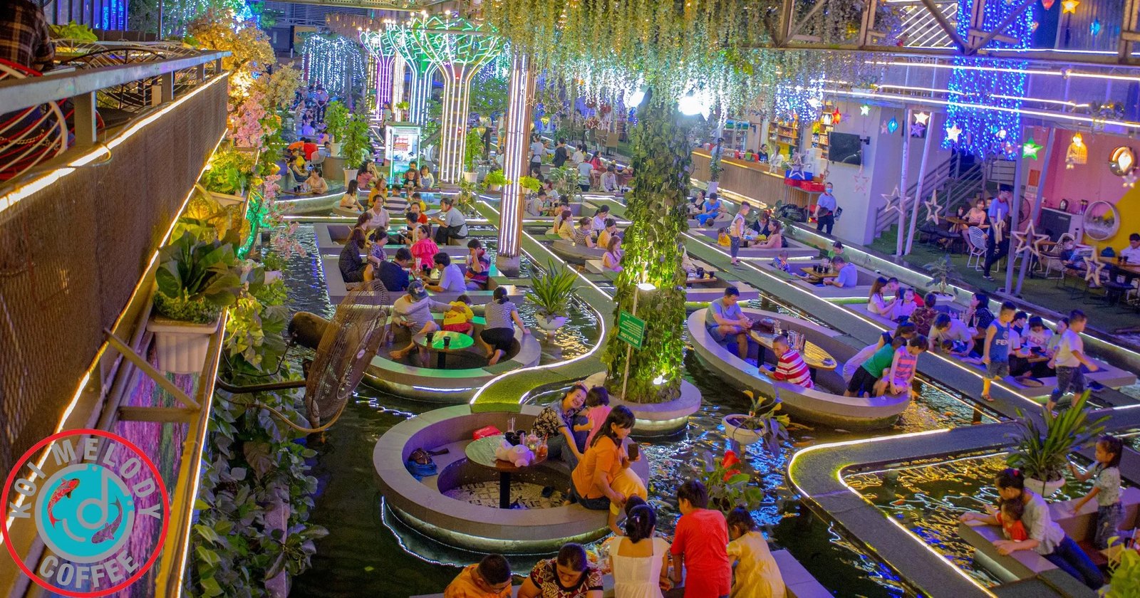 Cá Koi trong hồ cá cảnh