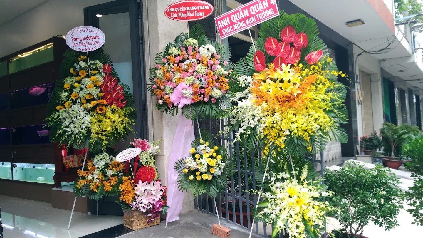 Cá Rồng Nam Dương khỏe mạnh và đa dạng chủng loại