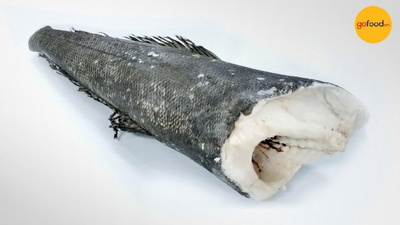 Cá tuyết nam cực Patagonian Toothfish