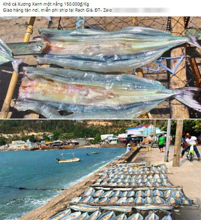 Cá xương xanh
