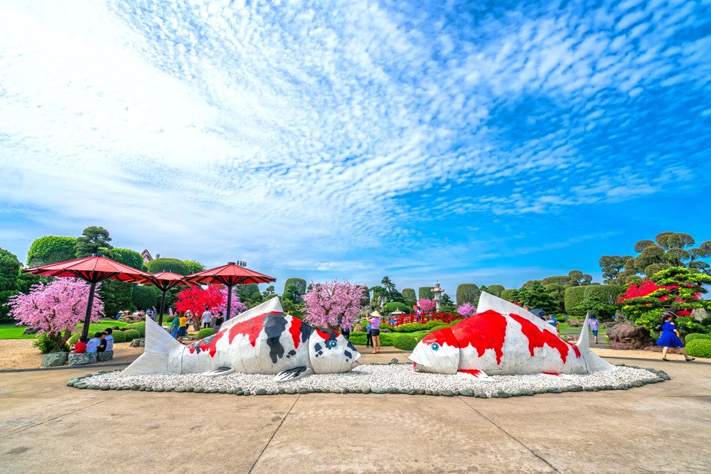 Các góc check-in độc đáo và phong cảnh ấn tượng tại Công viên Cá Koi RinRin Park