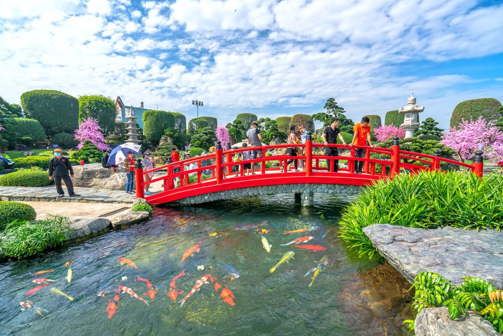 Các loại cá Koi thuần chủng đa dạng màu sắc đang bơi lội trong hồ tại Công viên Cá Koi RinRin Park
