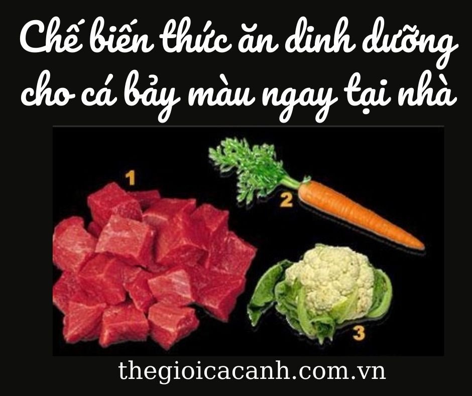 Các loại thức ăn tươi và khô cung cấp dinh dưỡng cho cá bảy màu