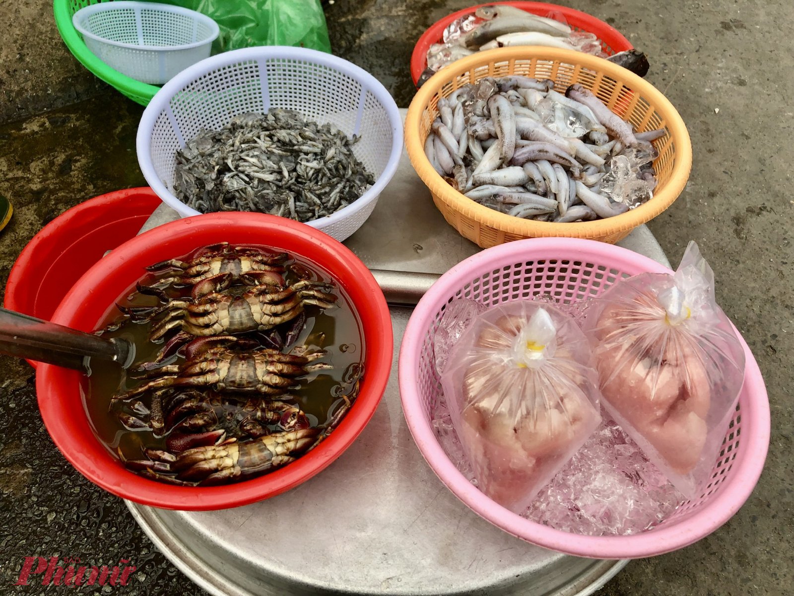Cá Nàng Hai Và Cá Thác Lác Khác Nhau Như Thế Nào