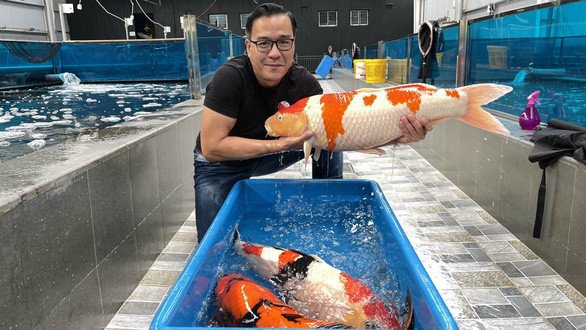 Chân dung doanh nhân Ngô Văn Thắng - Vua cá Koi Việt Nam