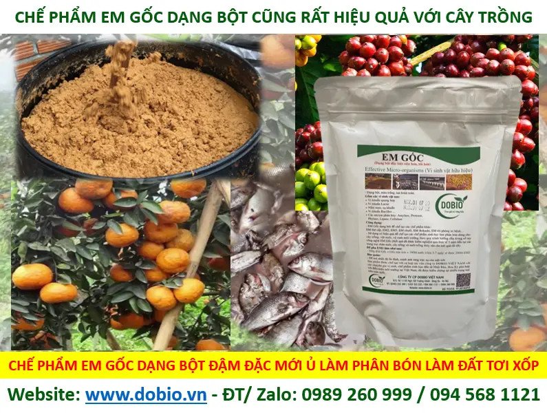 Chế phẩm EM Gốc dạng bột dùng để ủ phân vi sinh cho cây trồng