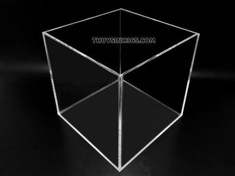 Chiếc bể cá mini hình vuông làm bằng Acrylic cao cấp