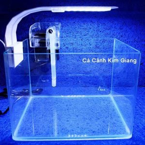 Combo bể cá mini để bàn kích thước 25x16x28cm