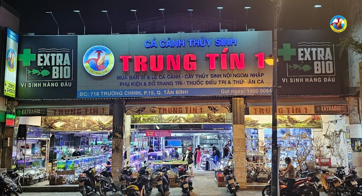 Cửa hàng trưng bày cá cảnh và phụ kiện thủy sinh