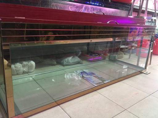 Đa dạng chủng loại cá cảnh tại cửa hàng