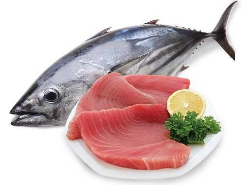 Đặc điểm sinh học của Cá ngừ đại dương