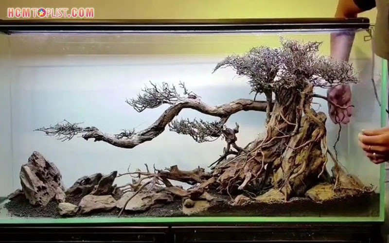 Gỗ lũa cho bể thủy sinh tại cửa hàng Hồ Cá Nam Hải Dương