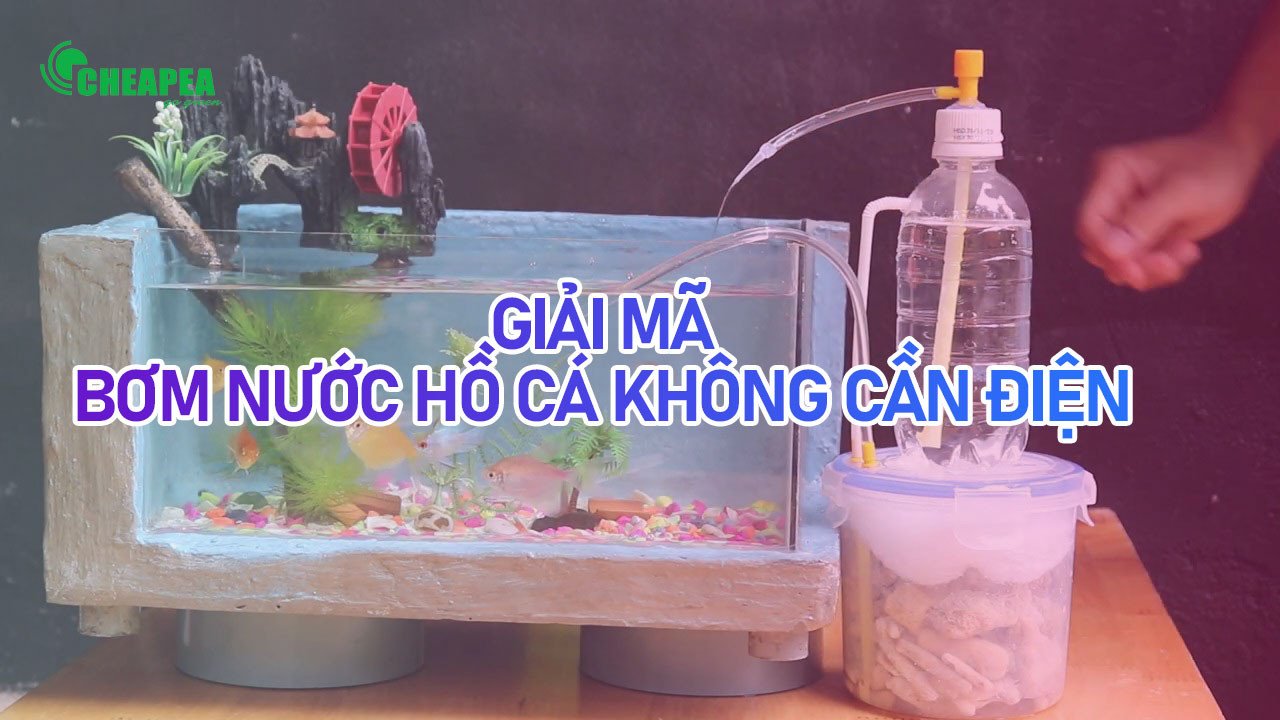 Hệ thống bơm nước hồ cá không cần điện tự chế