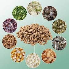 Hình ảnh cận cảnh thức ăn dành cho Cá Rồng size nhỏ