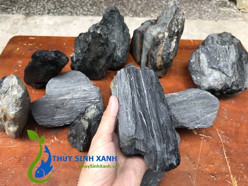 Hình ảnh chi tiết các viên Đá Trầm Tích Thủy Sinh