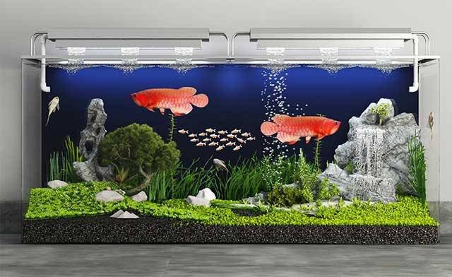 Hồ cá cảnh ngoài trời được thiết kế với đài phun nước nhỏ