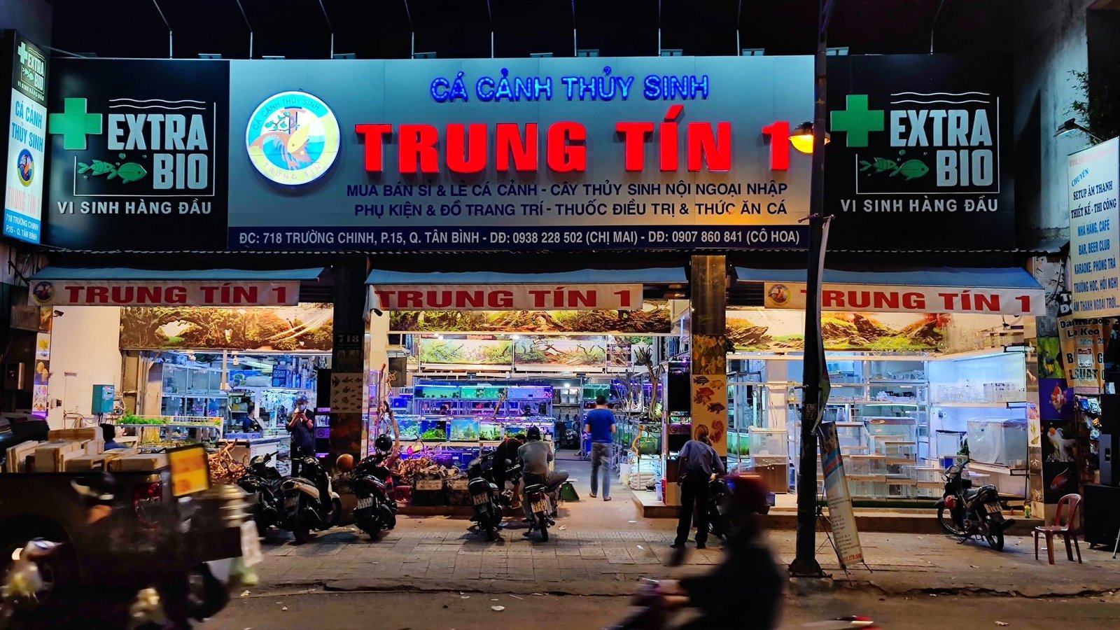 Hồ cá cảnh thủy sinh với nhiều loài cá và cây xanh