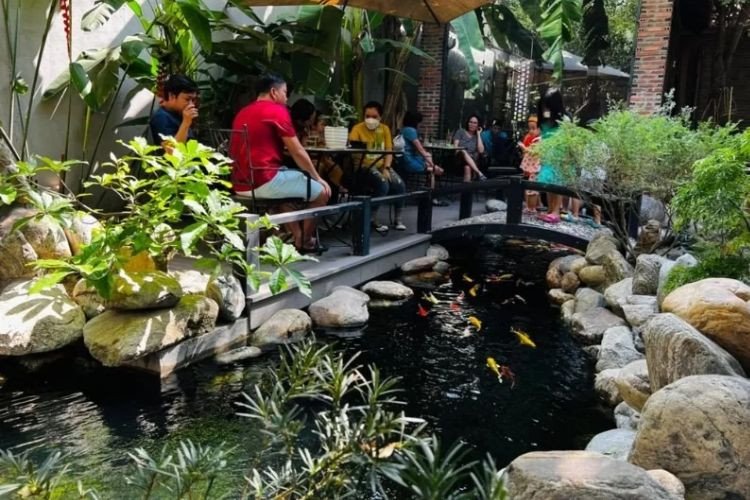 Hồ Cá Koi đa dạng màu sắc và kích cỡ tại Cafe Vườn Xưa