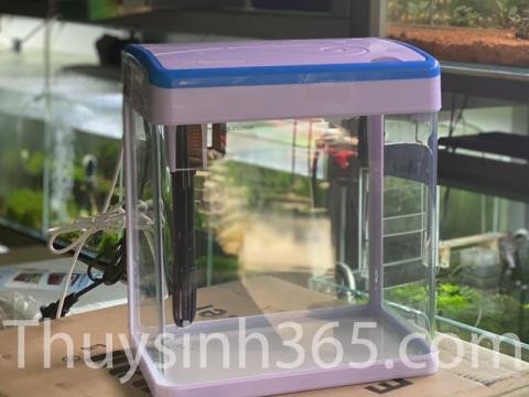 Hồ cá mini đầy đủ phụ kiện đặt trên bàn làm việc