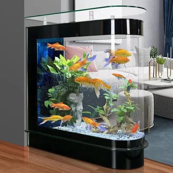 Hồ thủy sinh 1m2 dạng bể đúc có giá cả phải chăng