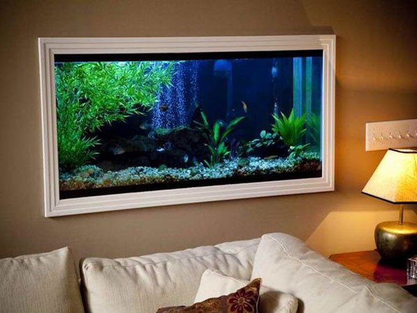 Hồ thủy sinh đẹp treo tường giúp tiết kiệm không gian hiệu quả