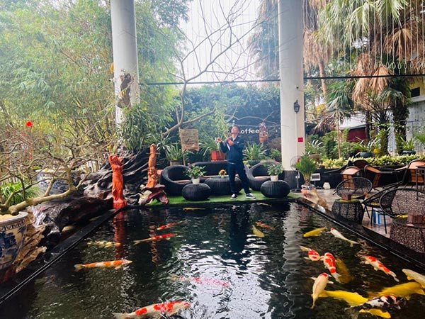 Không gian quán cafe cá Koi