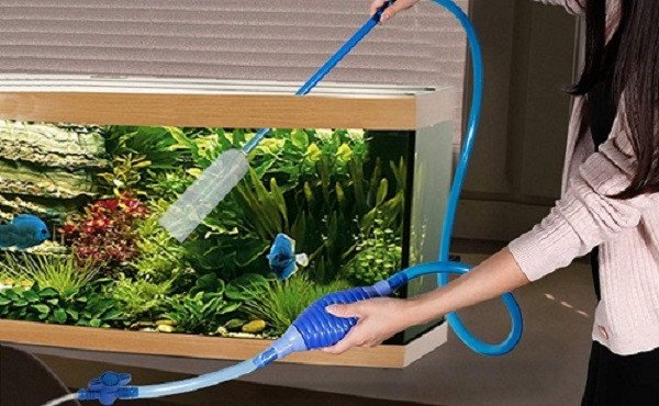 Kiểm tra các chỉ số nước quan trọng trước khi áp dụng cách thay nước bể cá cảnh