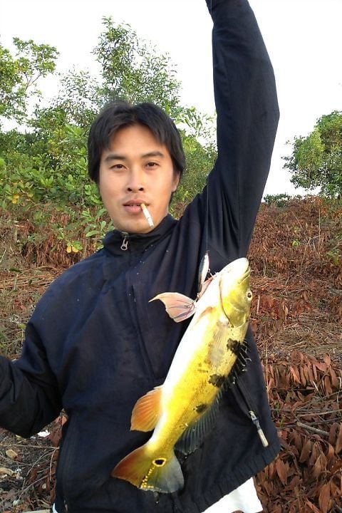 Loài cá nổi tiếng vừa đẹp vừa hung hãn ở Việt Nam