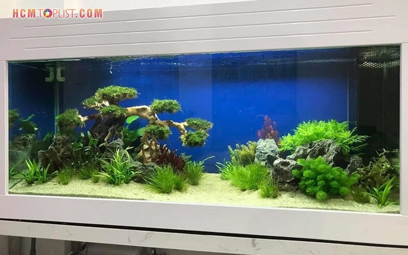 Lũa bonsai và lũa xương chùm tại cửa hàng Cảnh Dương