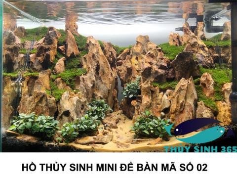 Mẫu bể cá mini để bàn làm việc sang trọng