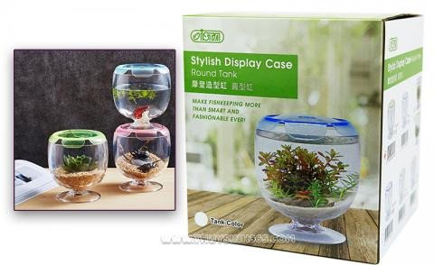 Mẫu hồ cá mini dạng tròn Ista độc đáo